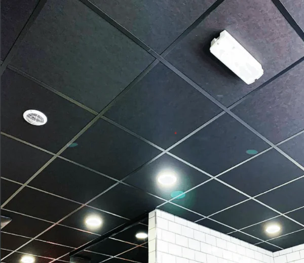 acoustic ceiling tile (1)
