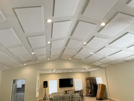 acoustic ceiling tile (2)