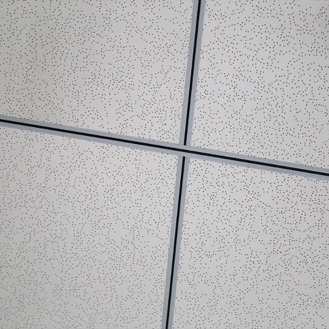 acoustic ceiling tile (4)